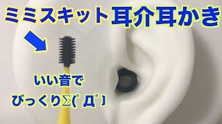 【ASMR】耳介耳かき