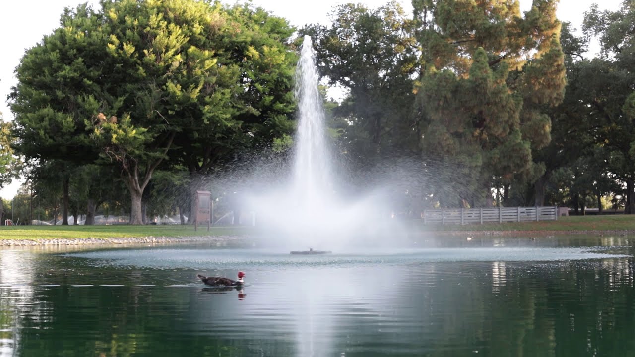 Elk Grove Park Pavilion YouTube elk-grove-park-pavilion-youtube