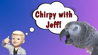 Einstein is Being Chirpy with Jeff by Einstein Parrot 1,897 views 5 days ago 3 minutes, 31 seconds