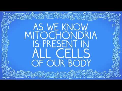 Mitochondrial Disease Explained