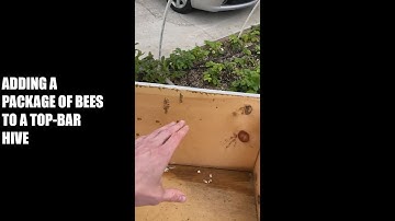 Top-Bar Bee Hive Installation