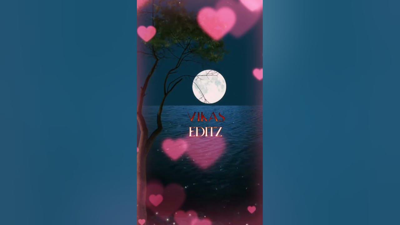 Lyric video short feed new#new song lyrics