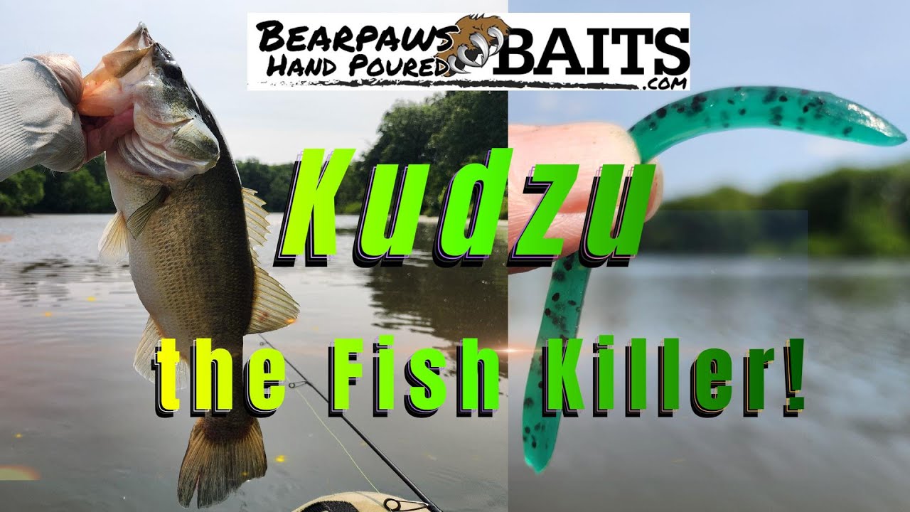 Kudzu Garden Worms (Bear Paws)