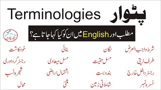 Patwar Legal Terminologies Land Revenue Terms In English Urdu