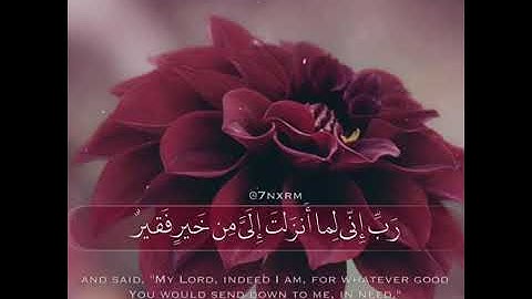 فسقى لهما ثم تولى إلى الظل//بصوت القارئ خالد الجليل//حالات واتس اب قران//حالات واتس اب دينية