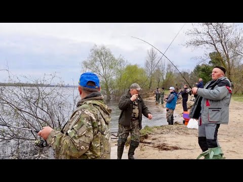 Я такого ще не бачив! Тисяч рибакв на берез Днпра! Судак пшов! Насилу знайшли мсце порибачить!