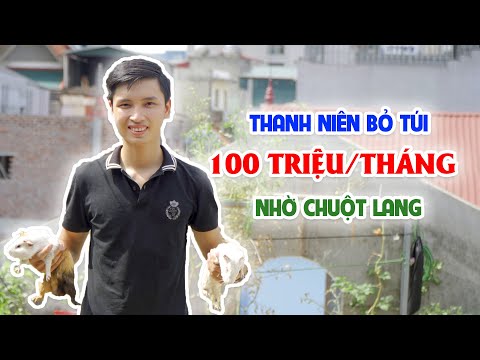 Video Bỏ túi 100 triệu/tháng từ nuôi chuột Lang || Mô hình &... - youtube