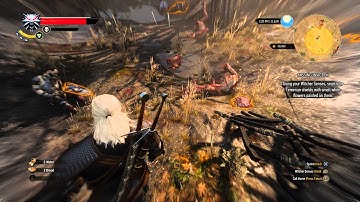 The Witcher 3: Wild Hunt - Missing In Action: Shield Location, Bastien & Rhosyn Choice Sequence