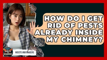 How Do I Get Rid Of Pests Already Inside My Chimney? - Insects and Invaders