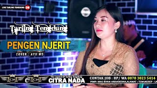 PENGEN NJERIT \\ COVER TARLING TENGDUNG CITRA NADA 2023 \\ AYU WD