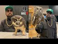 Outkasts big boi brings pet owls to the studio 