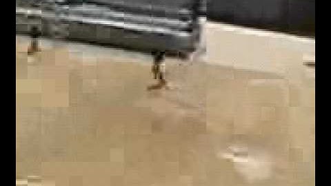 【炎のランナー　2008】予告編