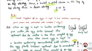 Class 10 Science | Pressure: Important Questions Part 2 | SEE Science | SEE Physics Solutions