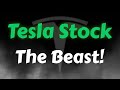 Tesla stock analysis  the beast  only upside from here  tesla stock price prediction