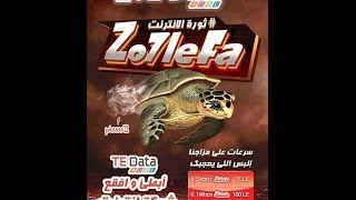 TE Data - اتصال هاتفى مع خدمه العملاء