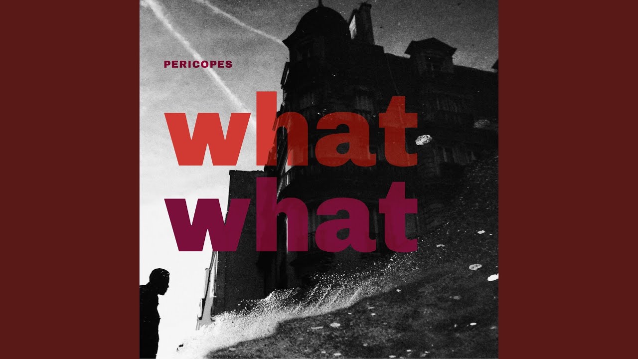 La Danse Des Holothuries