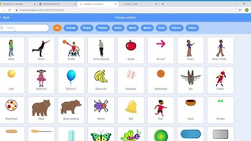 Scratch Reset Password & Scratch Assignment