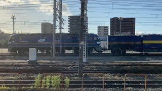 EF210-305, EF210-331@吹田貨物ターミナル