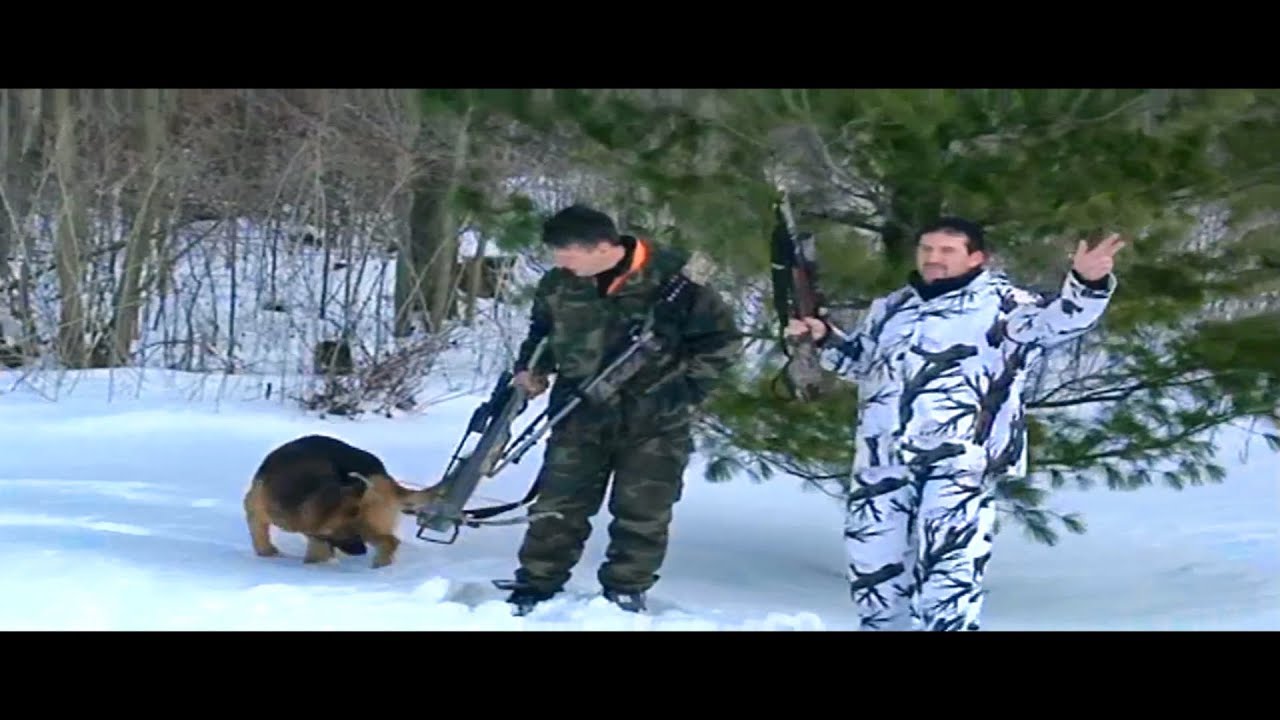 am plecat la vanatoare ionica ardeleanu am plecat la vanatoare ionica ardeleanu