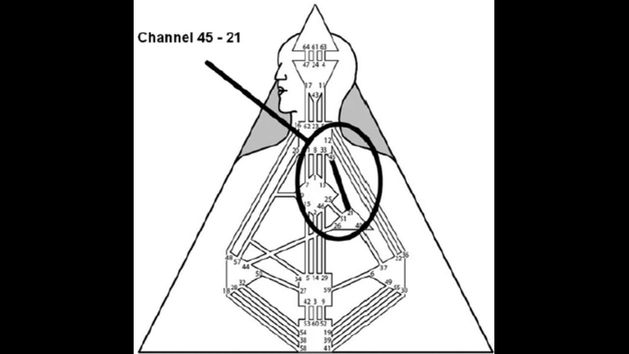 ворота 50 дизайн человека