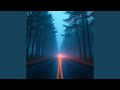 Light At The End Of The Pines