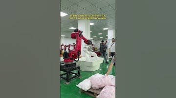 Palletizing robot #Palletizing robot #Six-axis robot #Industrial robot