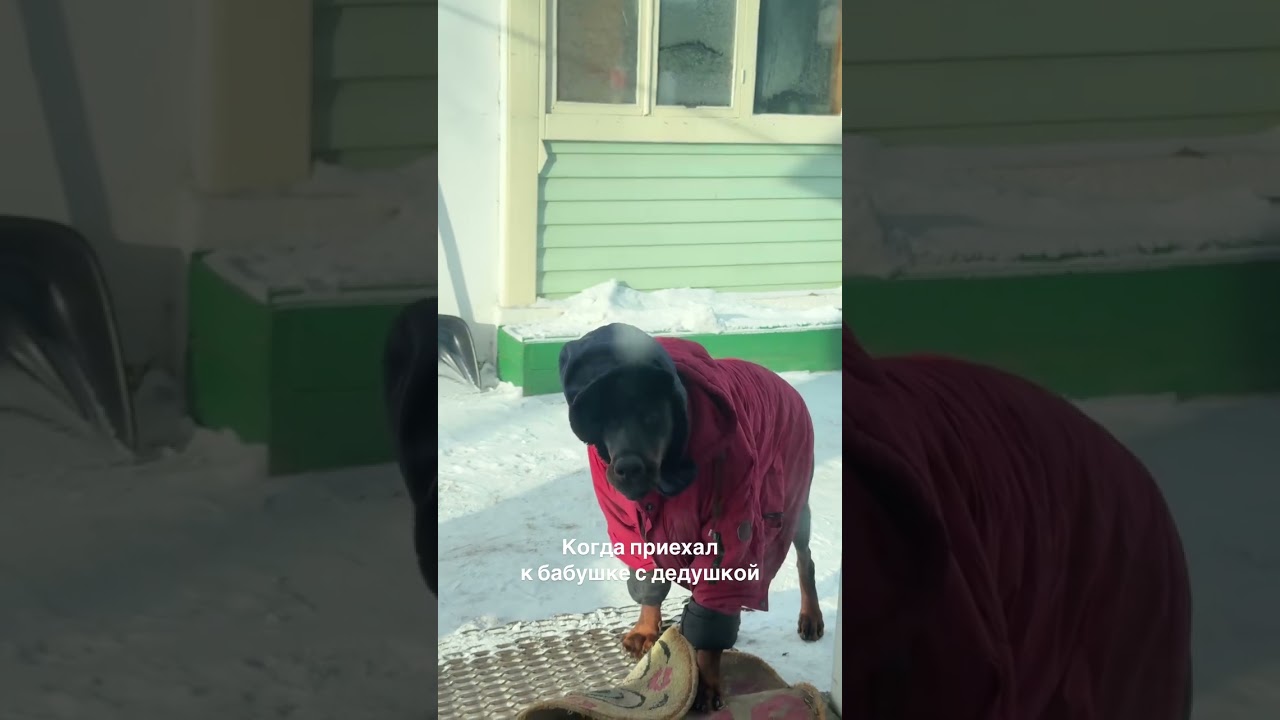 мороз🥶одеваемся теплее🤭