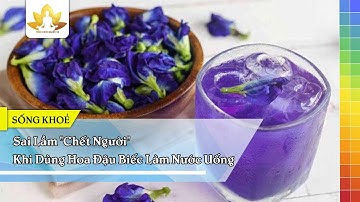 Sai Lầm "Chết Người" Khi Dùng Hoa Đậu Biếc Làm Nước Uống - Sống Khỏe Quanh Ta