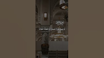 سورة الزمر || الآيات ٢١- ٢٣ || القارئ حمزه عبدالوحيد || #المصحف #اكسبلور #quran #qurantilawat