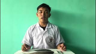 Cara Membedah Ikan dan Penentuan Usus jenis ikan herbivora dan karnivora