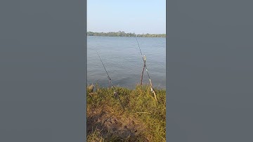 Câu cá bờ kè Tam thôn Hiệp - Cần Giờ