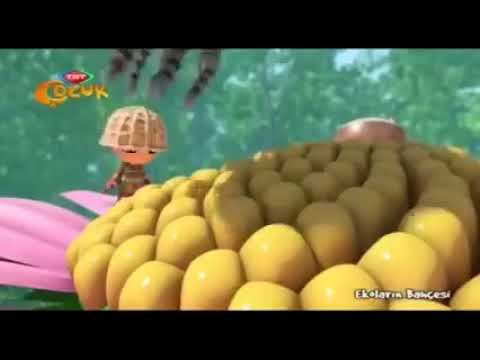Ekoların Bahçesi - 11. Bölüm