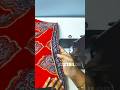 tailoring tips #438 #shortsviral #fashion #trending #shortsfeed #shortvideo #stitching