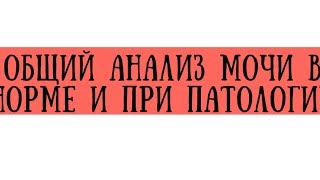 Общий анализ мочи в норме и при патологии - meduniver.com