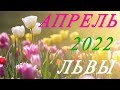 ЛЬВЫ. ТАРО-ПРОГНОЗ на АПРЕЛЬ 2022г.