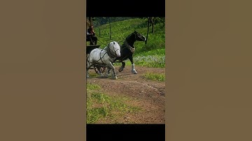 Western Plains Ride | RDR2 Horse Carriage Delivery Cinematic