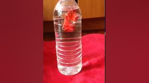 School Video project on Ketchup Cartesian Diver