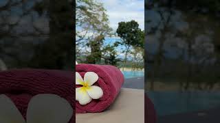 Dive in! Sri Lankan swimming pool heaven 😍 See more on our Sri Lanka playlist