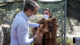 Επίσκεψη του Πρωθυπουργού Κυριάκου Μητσοτάκη στο καταφύγιο αδέσποτων ζώων στην Ηλιούπολη