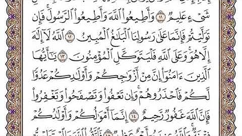 سورة التغابن من(١٤)الى(١٨)