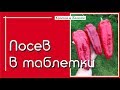 Посев томата, перца, баклажана в таблетки. Отличная всхожесть и дополнительные бонусы.