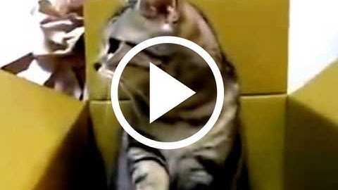 Add video play button to image