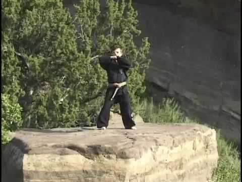 Kenpo Karate Short Form One - Dashiel Arnott