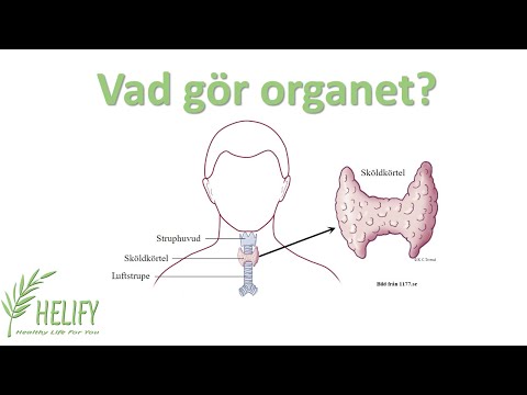 Video: Vad gör bisköldkörteln?