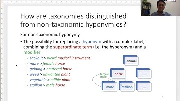 Lexical Relations - Taxonomy
