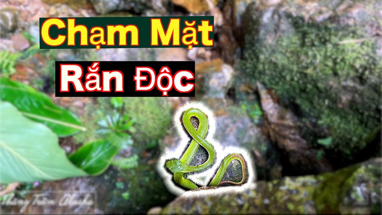 Phần 3 : Khám phá cung đường Nguy Hiểm