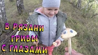 Водяные бомбочки | В Рязани грибы с глазами | Детский сад