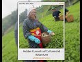 Hidden Currents Of Culture And Adventure with Renae Ninneman #culturalintelligence #podcast