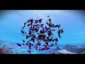 Shark Go Bundle Hype Video #sharkgo