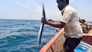 Catching Plenty of Needle Fish in the Deep Sea